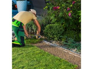 Get Hedge cutting in Milton Keynes | Contact Us