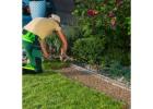 Get Hedge cutting in Milton Keynes | Contact Us
