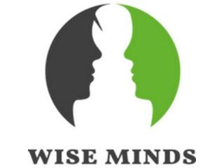 Smart Software Development and Services | Wise Minds
