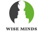 Smart Software Development and Services | Wise Minds