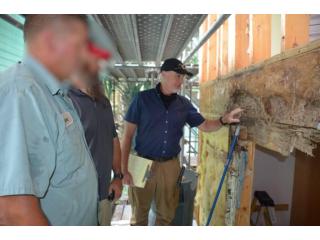 Better Understand Property Damage With a Termite Insurance Claim Lawyer