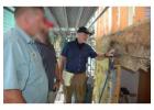 Better Understand Property Damage With a Termite Insurance Claim Lawyer