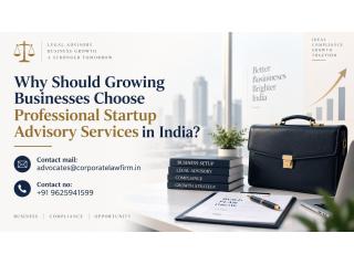Why Should Growing Businesses Choose Professional Startup Advisory Services in India?