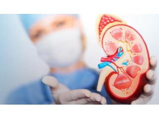 Nephrology Hospital in Gujarat