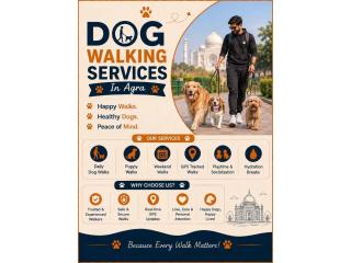 Dog Walking Services