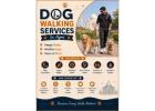 Dog Walking Services
