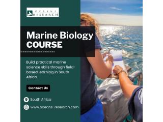 Marine Biology Course South Africa