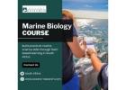 Marine Biology Course South Africa