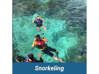 Private Snorkeling and Diving Tours Tenerife | Privatetourtenerife.com