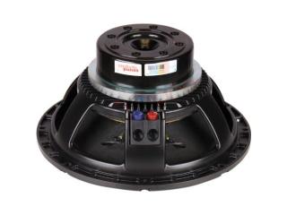 Powerful 12 Inch DJ Speaker for Professional Sound Performance