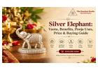 Buy Pure Silver Elephant Online at Best Price | The Stardust Studio