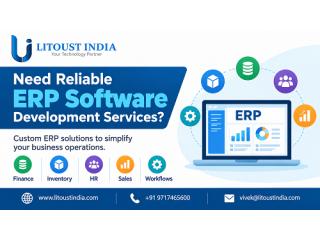 Need Reliable ERP Software Development Services?