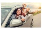 Pet Cab Service in Delhi NCR – Safe Rides
