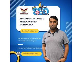 SEO Expert in Dubai | Freelance SEO Consultant