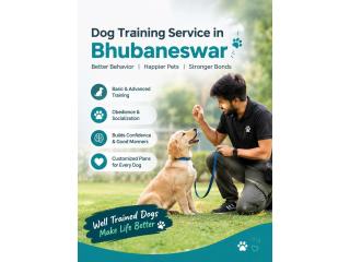 Dog Training Service