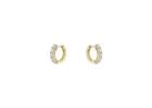 Buy Gold Earring for Women Online This Summer Season