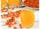 Checkout Sea Buckthorn Juice/Pulp Prices Online in India