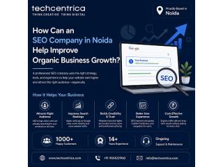How Can an SEO Company in Noida Solve Common Business Growth Challenges?