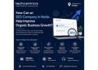 How Can an SEO Company in Noida Solve Common Business Growth Challenges?