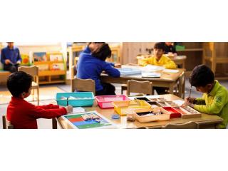 Building Global Skills Through IB Education in Gurgaon