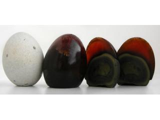 Buy Fresh Century Eggs in Singapore Today