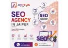 SEO agency in India