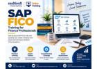 SAP FICO Training for Finance Professionals - Multisoft Virtual Academy