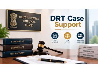How Can DRT Case Support Help Borrowers Handle Recovery?