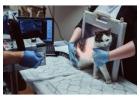 Trusted Cat X-Rays in Richmond BC for Accurate Diagnosis