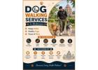 Dog Walking Services
