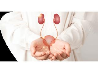 Urinary Tract Infections Treatment in Kerala