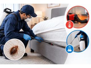 Bed Bug Exterminator Lafayette: Treatment Options