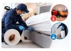 Bed Bug Exterminator Lafayette: Treatment Options