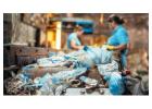 Plastic waste recycling Delhi