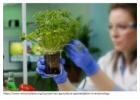 m sc agriculture entomology
