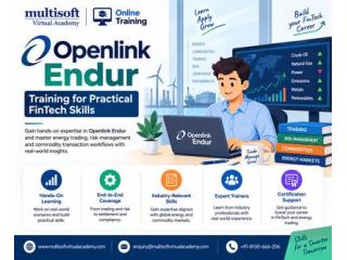 Openlink Endur Training for Practical FinTech Skills | Multisoft Virtual Academy