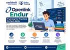 Openlink Endur Training for Practical FinTech Skills | Multisoft Virtual Academy