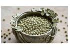 Peas Affila Microgreen Seeds – Fresh, Nutritious & Easy to Grow