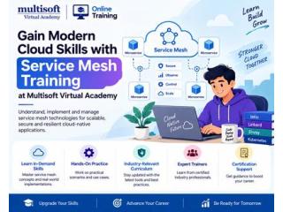 Gain Modern Cloud Skills with Service Mesh Training at Multisoft Virtual Academy