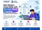 Gain Modern Cloud Skills with Service Mesh Training at Multisoft Virtual Academy