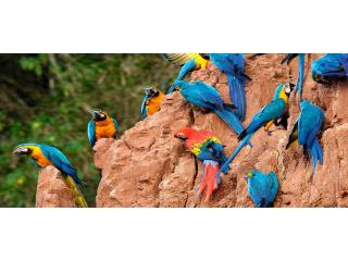 Explore Sandoval Lake Tambopata 3 Days Tour