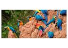 Explore Sandoval Lake Tambopata 3 Days Tour