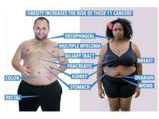 Weight Loss Program Curaçao, Results Guaranteed
