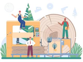 Reliable Timber Pest Inspection Services in Canberra