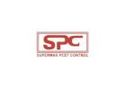 Get Reliable Pest Control at Affordable Prices in Mumbai 