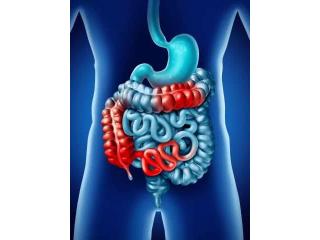 Personalized IBD Care with Dr. Jigar Patel in Ahmedabad