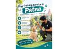 Dog Training Service
