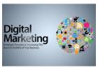 Digital Marketing Company in Noida – Grow Your Business