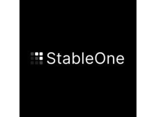 Multi-Currency Account for Global Money Management - StableOne