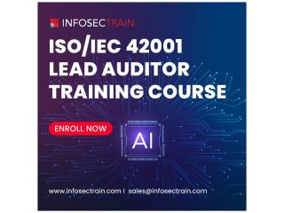 Build Your Auditing Skills with ISO 27001 Lead Auditor Training Online